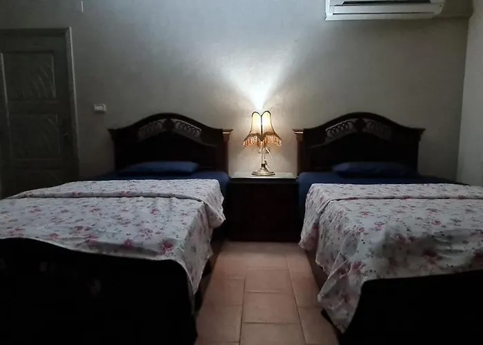 Comfy 2-Bedrooms Apartment In Cairo 44-2